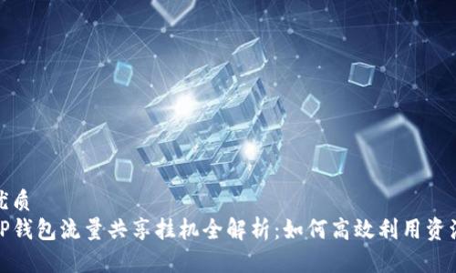 优质
TP钱包流量共享挂机全解析：如何高效利用资源