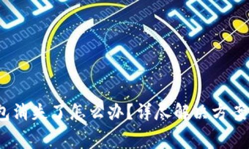 Pig币转到TP钱包消失了怎么办？详尽解决方案与常见问题解答